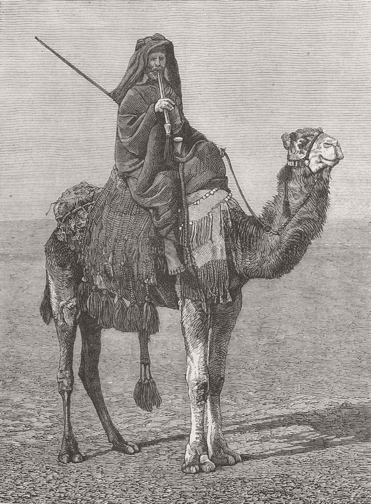 AFRICA. A travelling Bedouin 1882 old antique vintage print picture